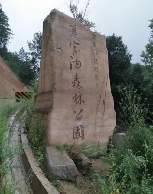 夏家沟森林公园图片