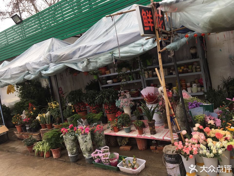 归元花鸟市场图片