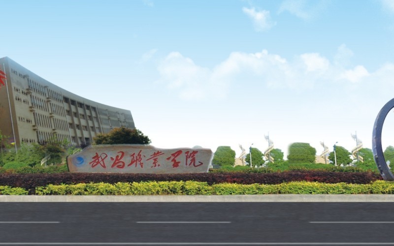 武昌职业学院图片