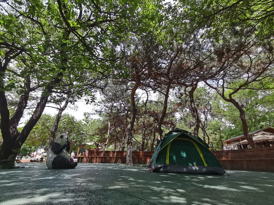 t01514f8fecea38054f.jpg