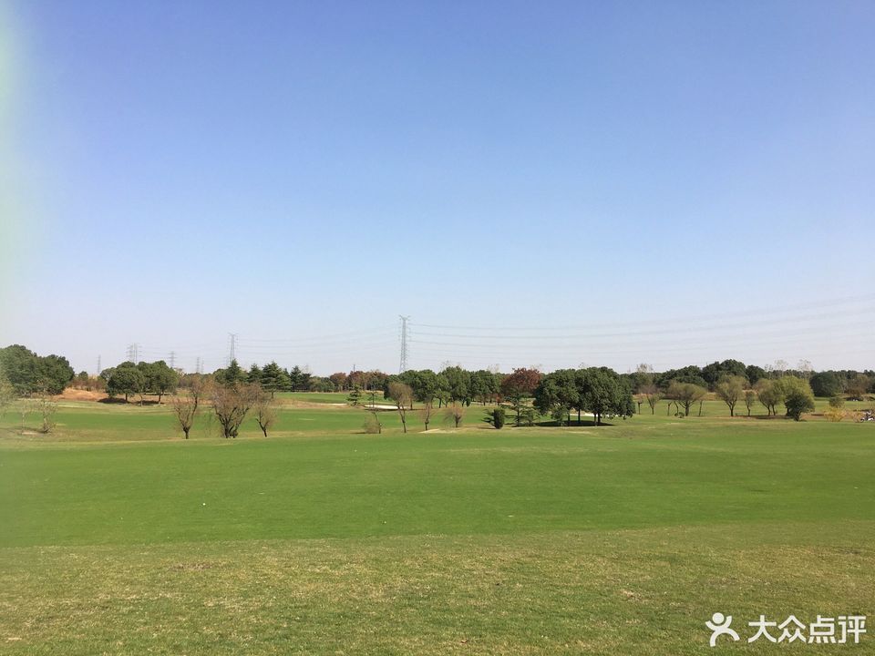 新天鸿名人高尔夫图片