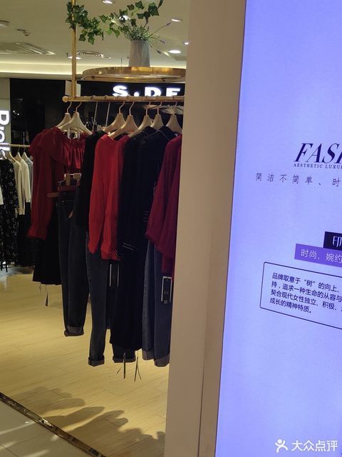 印象树女装图片