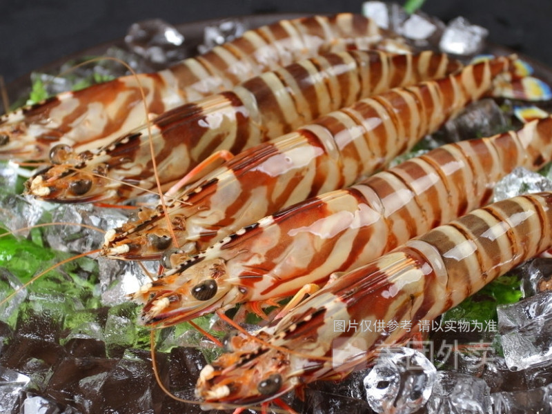 九节虾刺身图片
