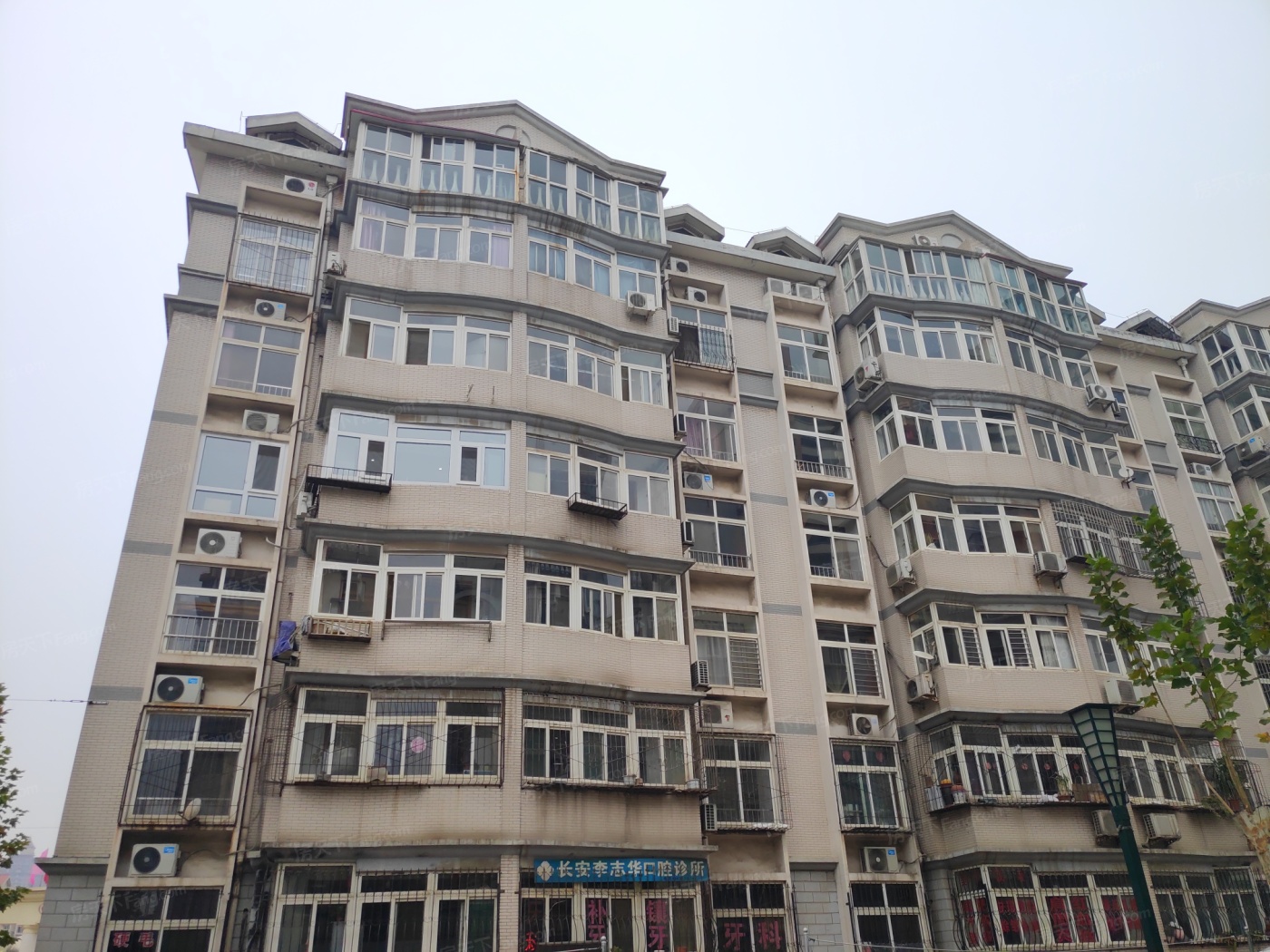 金谈固家园图片