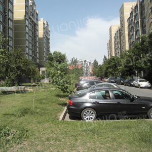 三环新城属于哪个街道(三环新城小区属于哪个学区)