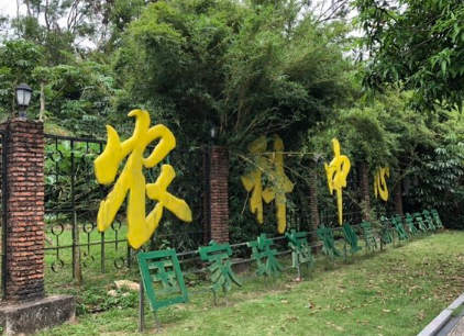 珠海澳洲植物园图片