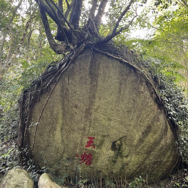 樱花谷风景区