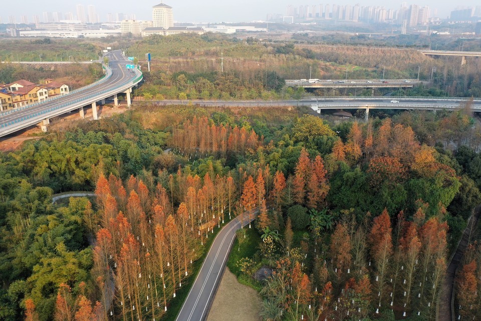 【巴滨路湿地公园】地址,电话,路线,周边设施_360地图