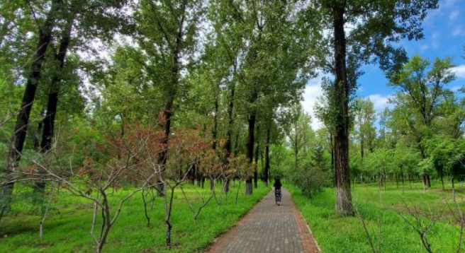 【森鑫森林公園】森鑫森林公園門票,森鑫森林公園遊玩攻略_360地圖