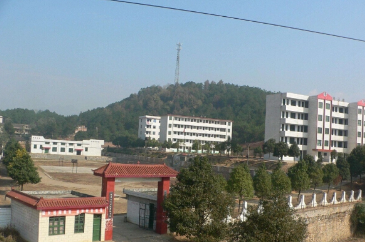 桂阳县图书馆图片