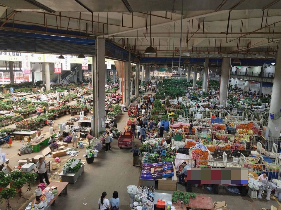 斗南花卉电子交易中心官网 斗南花卉电子交易中心官网