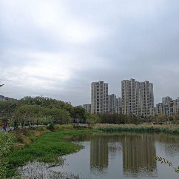 【藏龍島國家溼地公園】藏龍島國家溼地公園門票,藏龍島國家溼地公園