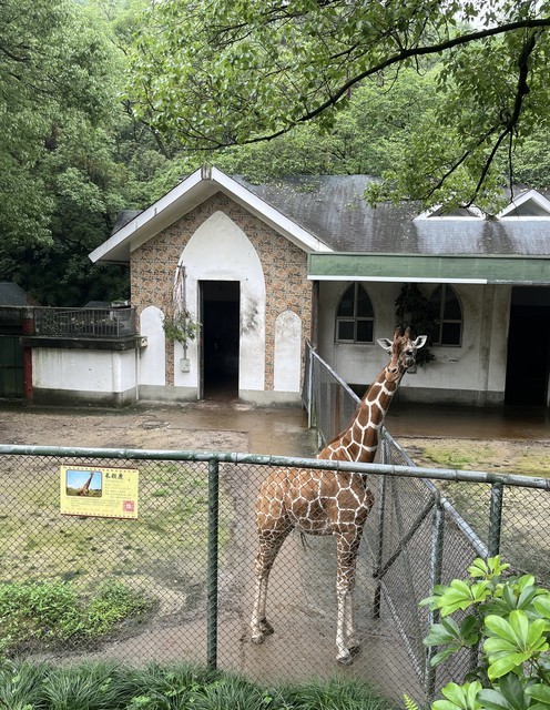 溫州動物園圖片