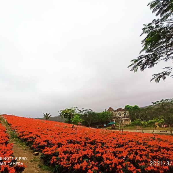 夢幻香山芳香文化園