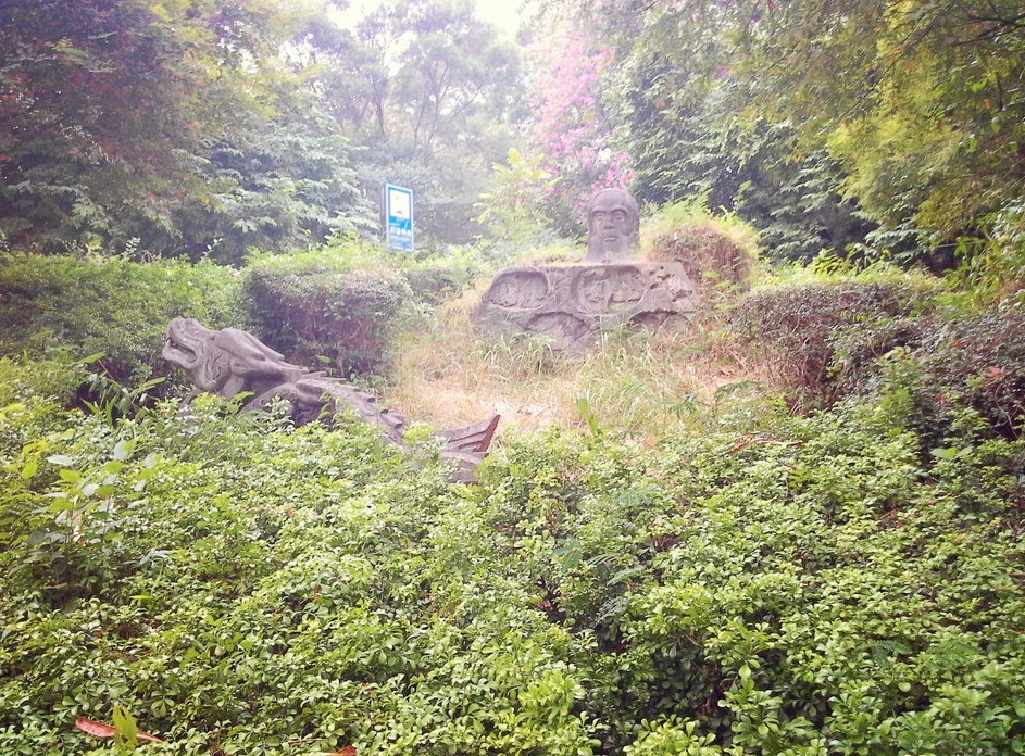 地址(位置,怎麼去,怎麼走,在哪,在哪裡,在哪兒):深圳市南山區南頭街道