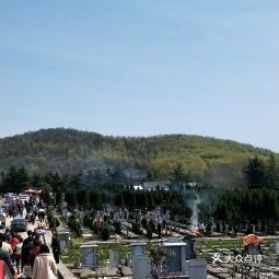 首页>南京市>陵园/公墓>青龙山公墓用户**:祖坟所在.每年过来两次