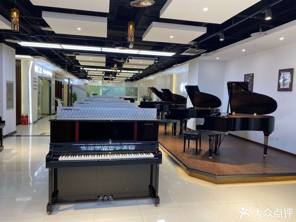 鲍蕙荞钢琴城(公益西桥店)图片