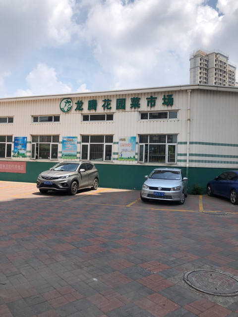 怎么走,在哪,在哪里,在哪儿):天津市西青区大寺镇南口村龙腾花园电话