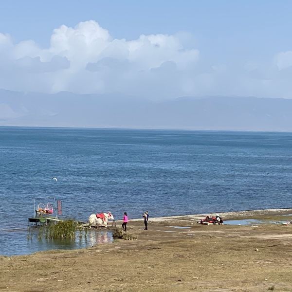 【青海湖景區】青海湖景區門票,青海湖景區遊玩攻略_360地圖