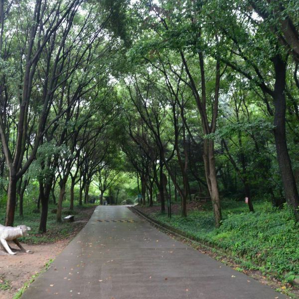 【何山公园】何山公园门票,何山公园游玩攻略_360地图