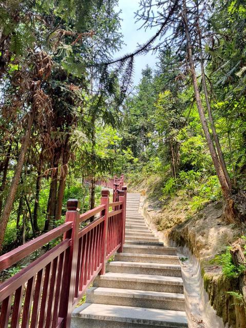 璧山金剑山森林公园
