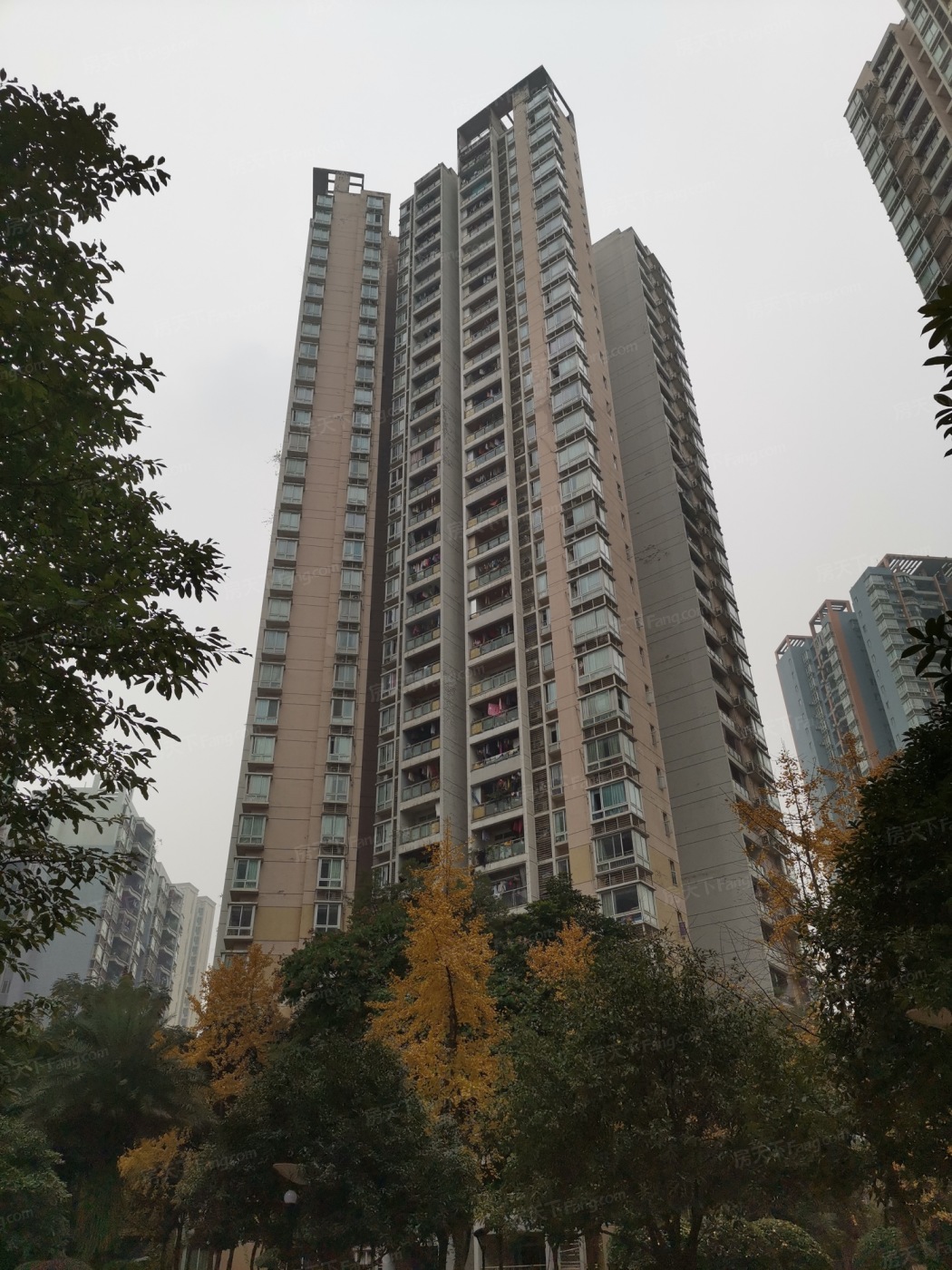 重庆半岛摄影