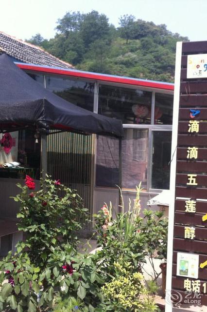 怎么去,怎么走,在哪,在哪里,在哪儿):日照市东港区后村镇新兴村农家乐