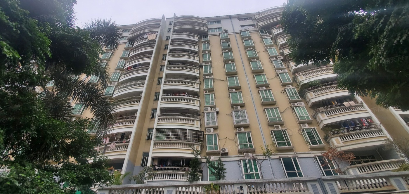 广东省兰花协会