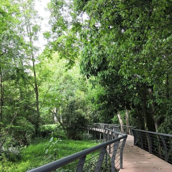 温江区田园绿道图片