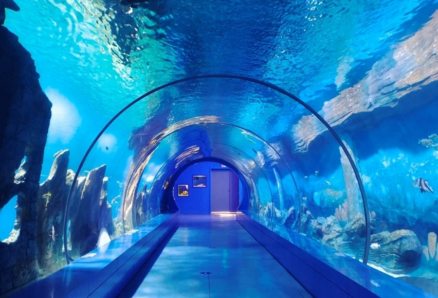 三峡海洋世界图片