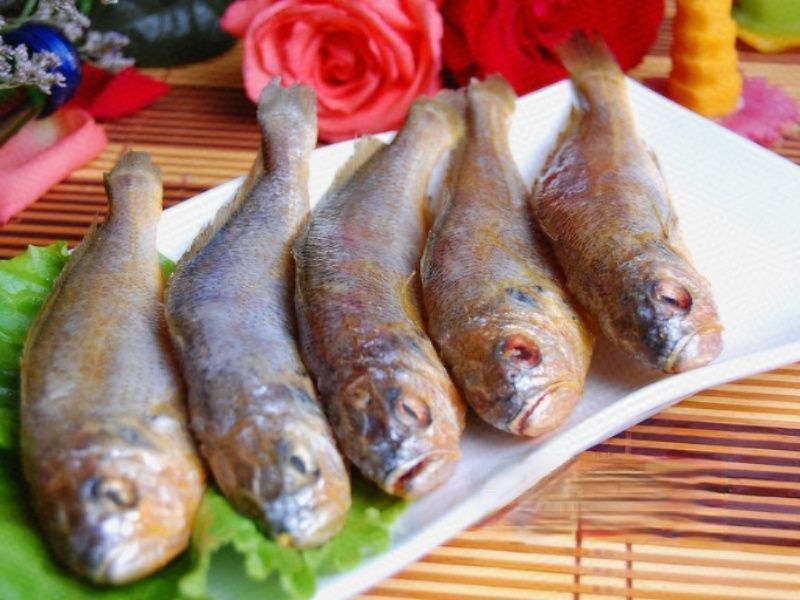 邵氏光头鸡图片