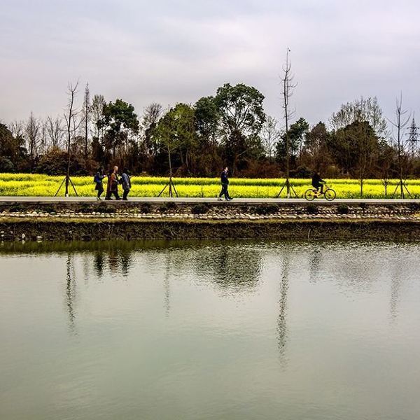 攜程用戶:2015年入選中國十大最美鄉村的青槓樹村,位於成都市郫都區