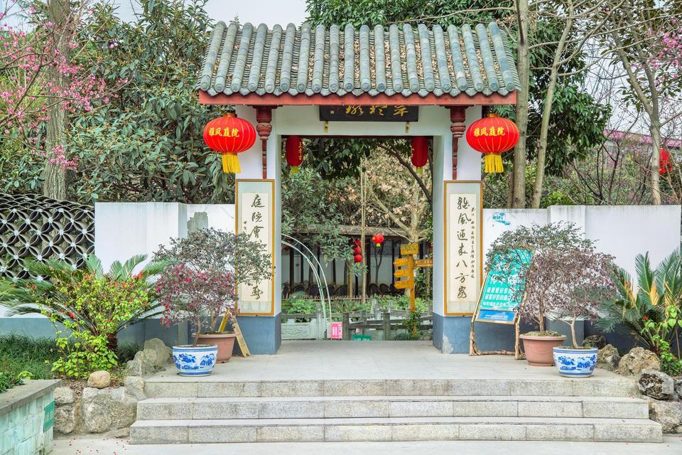 永康森林公园图片