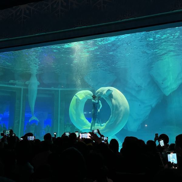 海洋公园视频游玩攻略 t015ef0c180bdac388f.jpg