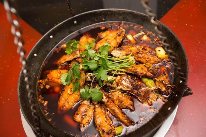 吊锅香耗儿鱼图片