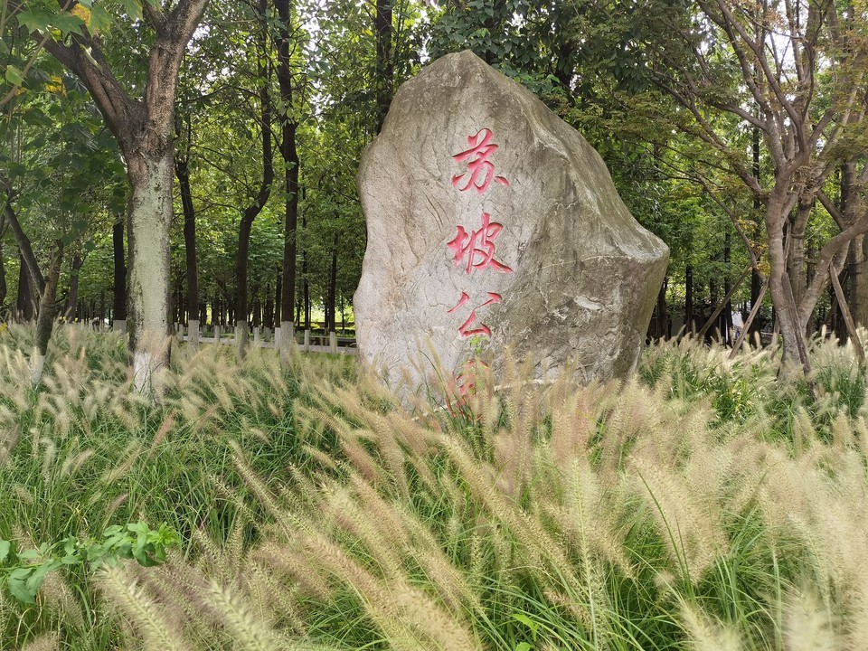 在哪儿):四川省成都市青羊区苏坡苏坡包括:苏坡,苏坡街道,苏坡公园
