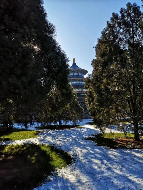 (位置,怎麼去,怎麼走,在哪,在哪裡,在哪兒):北京市東城區天壇街道電話