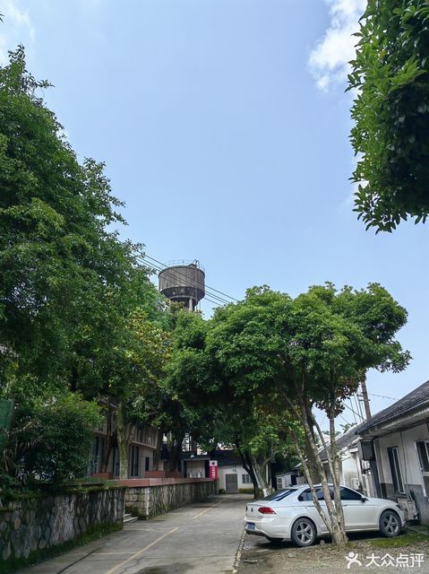 怎么去,怎么走,在哪,在哪里,在哪儿):杭州市西湖区西溪路560号电话