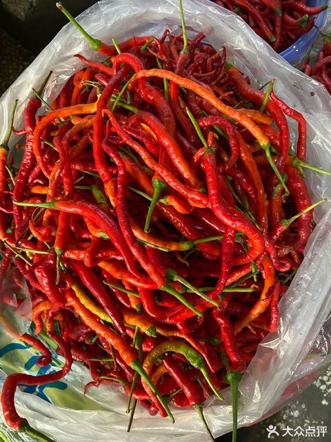 鸡肠辣椒图片