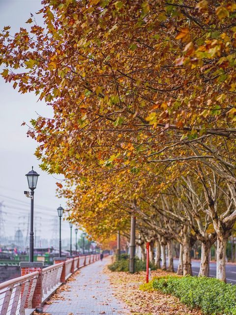 常州市武进区丁堰街道