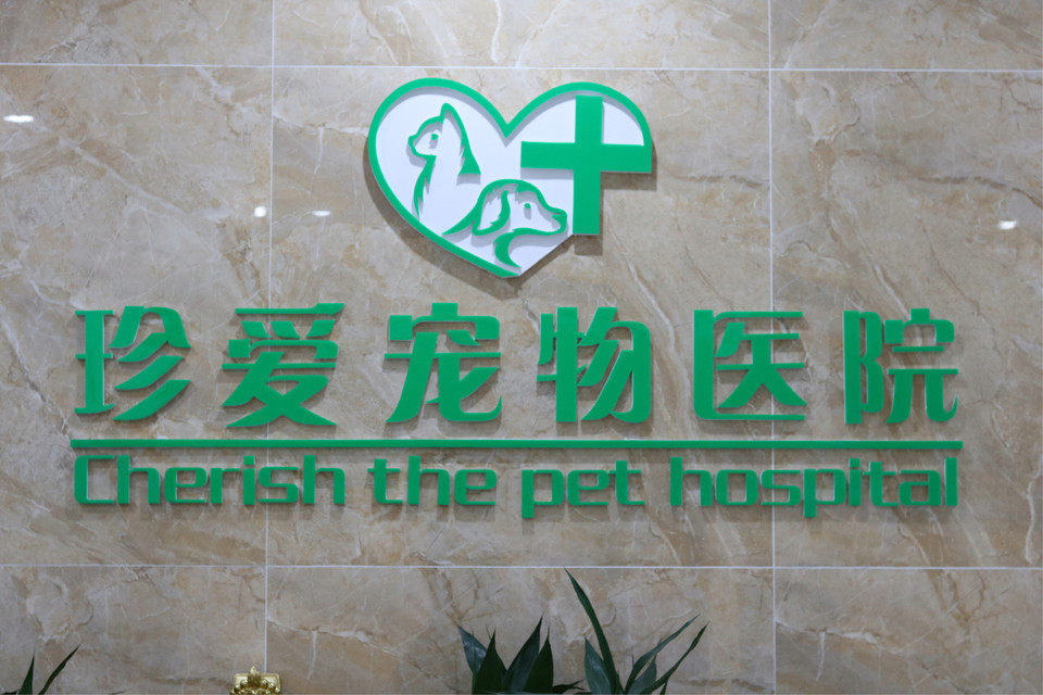 珍爱宠物诊所图片