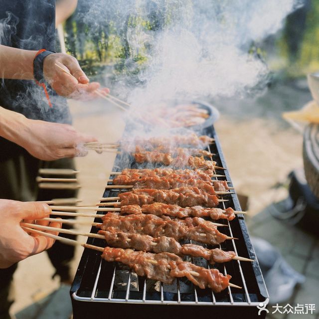 青西郊野公园烧烤区图片