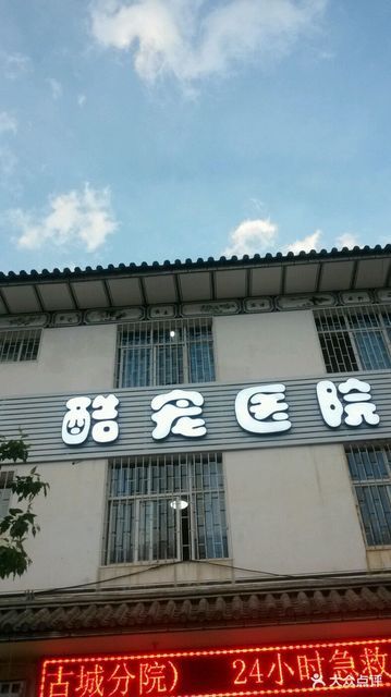 大理酷宠宠物医院图片