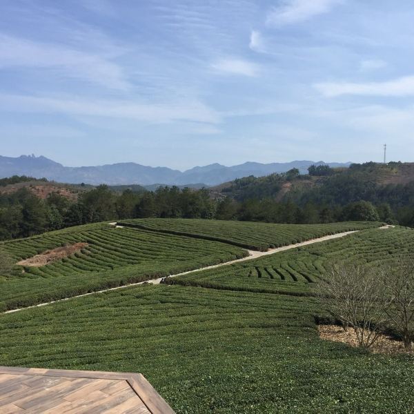 遂昌神龙谷景区