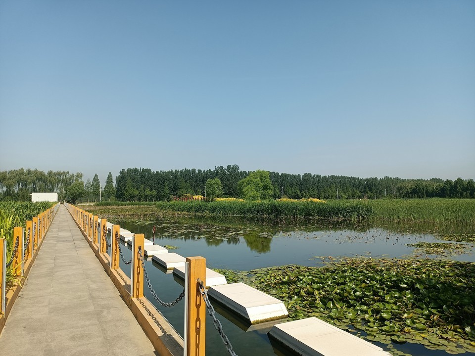 东平河湿地公园