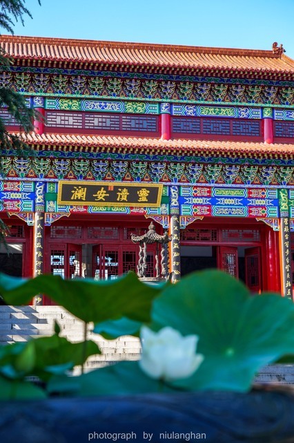 淮河源文化陈列馆图片