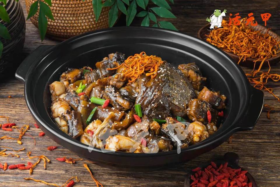 甲鱼烧牛蛙图片