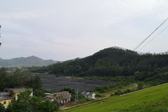 怎麼去,怎麼走,在哪,在哪裡,在哪兒):江門市鶴山市宅梧鎮宅梧小學第