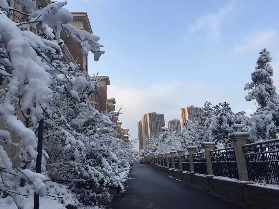 亞布力大青山滑雪場圖片