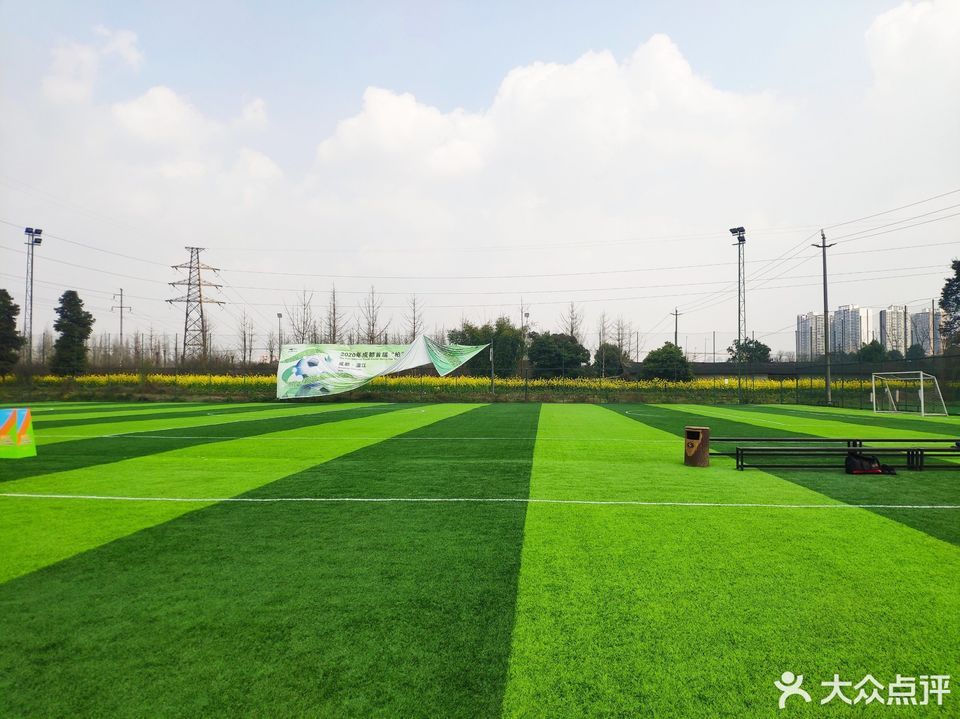 龙泉专业足球场